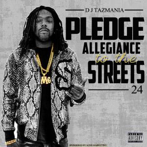 Pledge Allegiance To The Streets 24